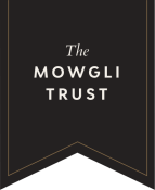 Reviews MOWGLI STREET FOOD