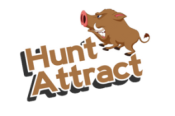Reviews Hunt attract