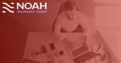 Reviews NOAH GROUP