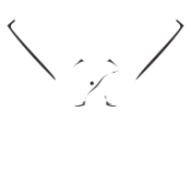 Reviews TOP BLADE